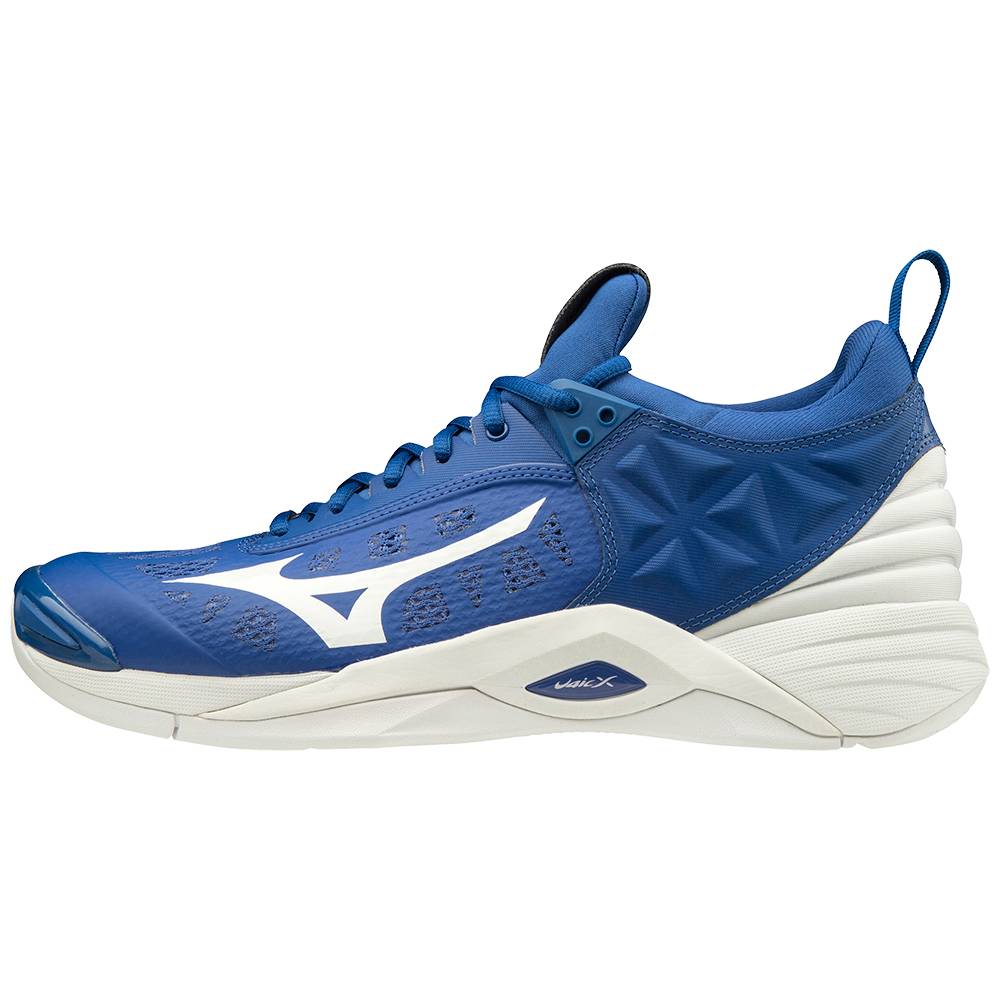 Panske Volejbalove Tenisky Mizuno Wave Momentum Modre/Biele Vypredaj URBJ31740